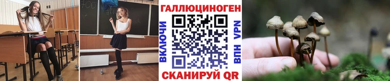 Псилоцибиновые грибы Magic Shrooms  Черноголовка 