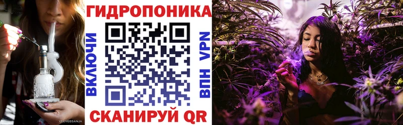 ОМГ ОМГ ссылка  Черноголовка  МАРИХУАНА план 